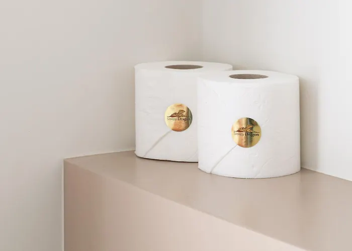 住宿加早餐酒店 Luxury The Belgian Girl