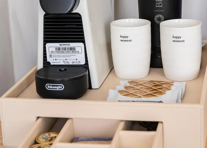 住宿加早餐酒店 Luxury The Belgian Girl 根特